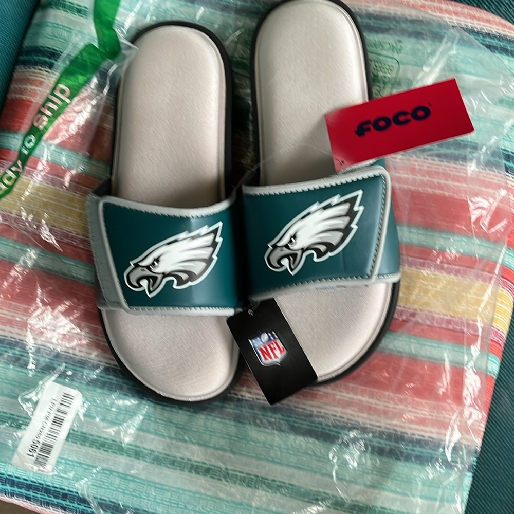 NFL Philadelphia Eagles slides - Picture 2 of 11